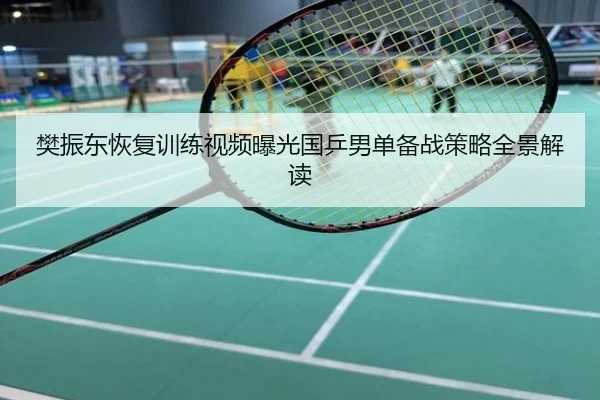 樊振东恢复训练视频曝光国乒男单备战策略全景解读